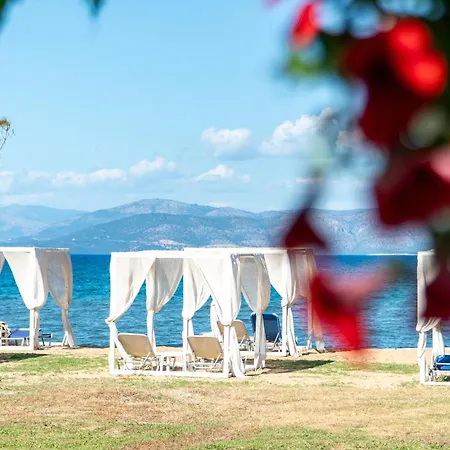 Sandy Beach - Sea View